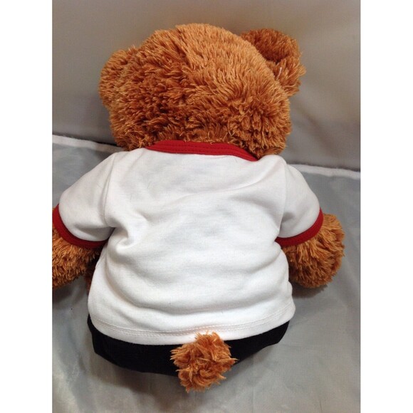 Build a Bear Disney High School Musical 3 Senior Year Plush BAB w/ Shirt Dog Tag - Picture 6 of 8